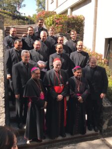 Visita pastoral Anáhuac