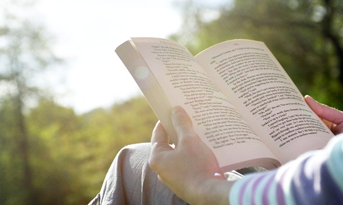 Lecturas para el verano